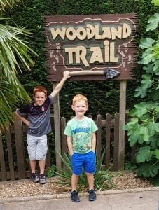 Woodland Trail At Kents Cavern Torquay